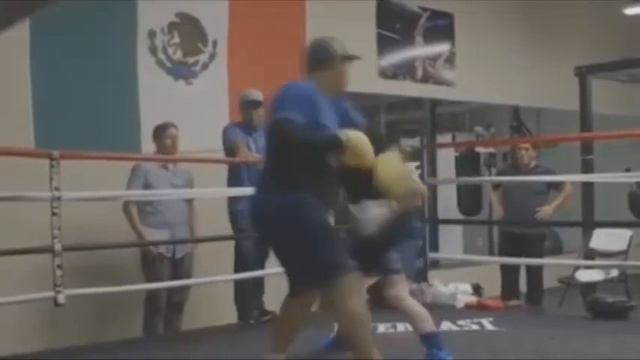 ГЕННАДИЙ ГОЛОВКИН ПОБЕДИЛ АЛЬВАРЕСА ! ПРИЧИНЫ ПОРАЖЕНИЯ КАНЕЛО АЛЬВАРЕСА ! смотреть онлайн