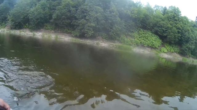 Как снять первое видео про рыбалку? Легко! смотреть онлайн