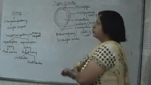 +1 Biology,25 08 13,Morphology Of Flower Part 2 смотреть онлайн