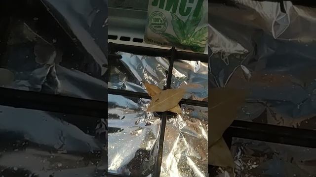 Убираем запахи на кухне, после жарки. смотреть онлайн