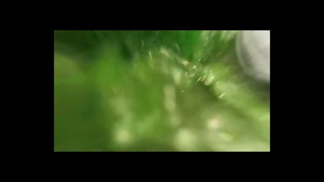 Experiment - Extremely Overfilled With Green Water And Door Opening - Washing Machine