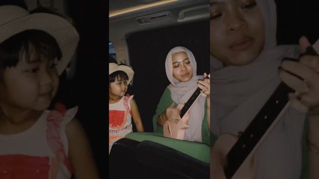 you are my sunshine ukulele cover - maryam & sofiya смотреть онлайн