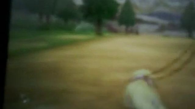 nintendogs + cats walk rare items!!!!!!!! смотреть онлайн