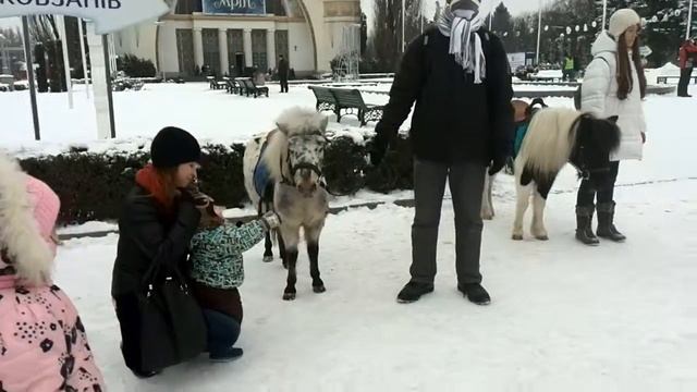 Сказочная страна в Киеве! Рождество с кумовьями смотреть онлайн