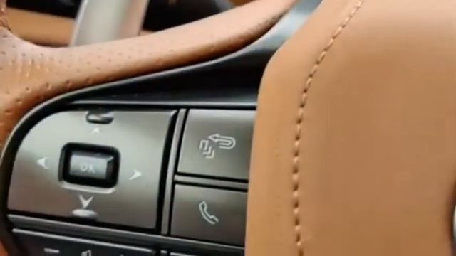 Lexus LC500 Convertible | Centre Console Quick Review!!!