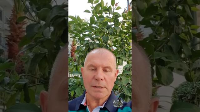 Откуда берутся страхи смотреть онлайн