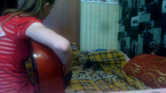 Афигенно поёт собака/singing Dog