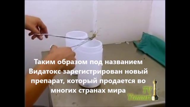Интерьвью Директора научно-исследовательского Центра Лаборатории LABIOFAM, Куба - Видатокс, Vidato смотреть онлайн