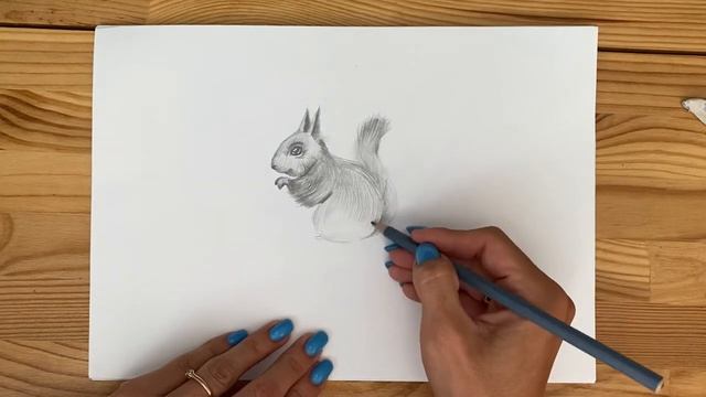 Рисунок простым карандашом для начинающих | Урок 5 | Белка смотреть онлайн