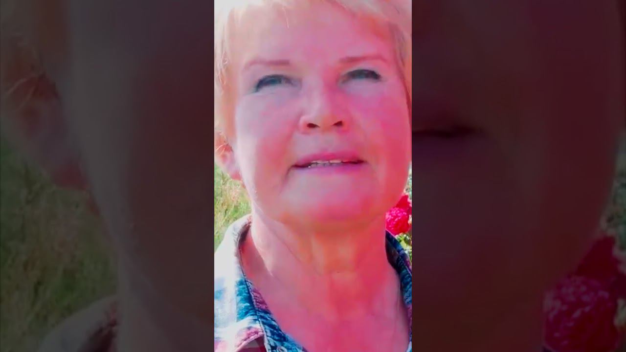 розы на даче рамблеры смотреть онлайн