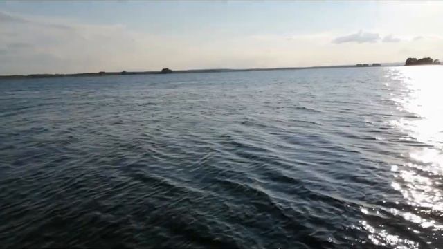РЫБАЛКА В СВИЯЖСКЕ. ЛЕЩ, ПЛОТВА. смотреть онлайн