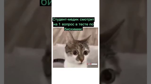 2 курс: 🫠😰