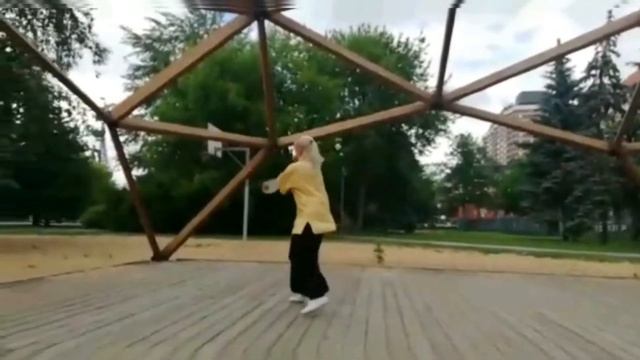 Тайцзи жоули цю. Мяч мягкой силы. Комплекс 24 формы. смотреть онлайн