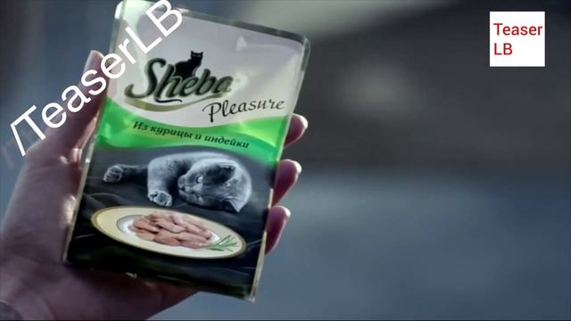 Реклама Sheba Pleasure 2015 | Шеба