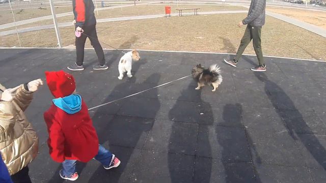 просто боровки барановичи смотреть онлайн