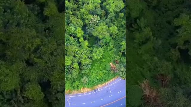 Oc3gM0r0eOo.mp4