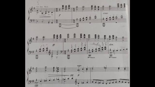 Hermann Schroeder *Minnelieder* "Es steht ein Lind" - Klavier: Rolf Bürgermeister смотреть онлайн