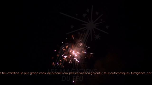 Bouquet Final PRO N°4 Plein La Vue смотреть онлайн