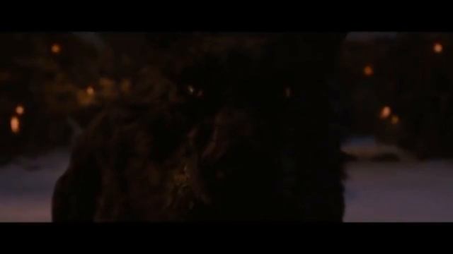 Песня - Волки мы в ночных лесах. смотреть онлайн