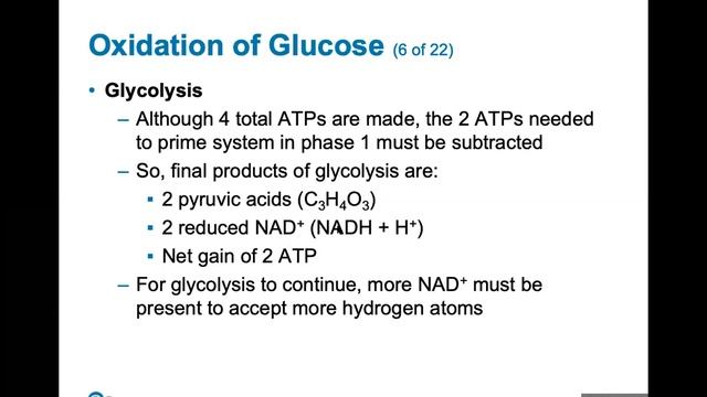 Ch. 23 (Cellular Metabolism) смотреть онлайн