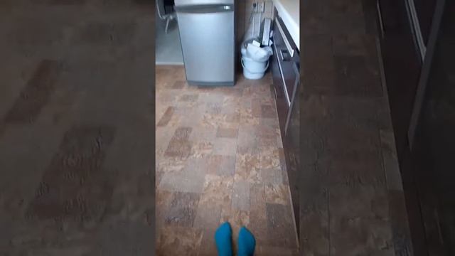 когда микроволновка разогрело только тарелку смотреть онлайн