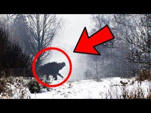 Самые Жуткие и Страшные Вещи Найденные в Чернобыле