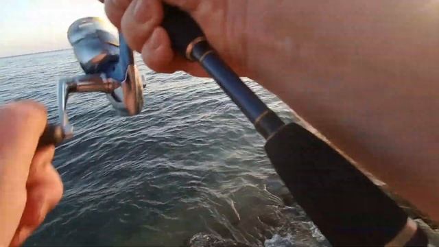 Летняя рыбалка, Чёрное море, август 2019. С берега на спиннинг. смотреть онлайн