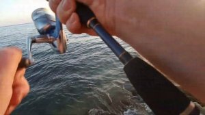 Летняя рыбалка, Чёрное море,  август 2019. С берега на спиннинг.