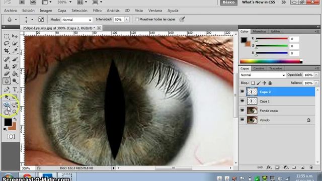 tutorial photoshop 2: como hacer un ojo de gato