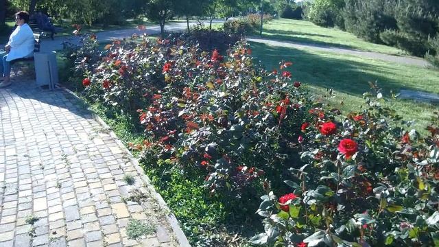 Анапа. 12.05.2018 Тестирую камеру.Радостная новость. Гуляем.