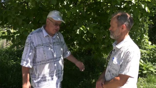 Начало лета в саду 17 24 смотреть онлайн