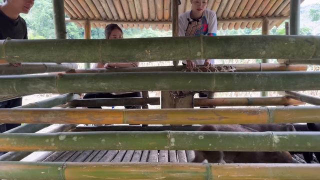 Vang Hoa and King Kong Amazon suddenly visited with big gifts, vang hoa, Anh Hmong смотреть онлайн