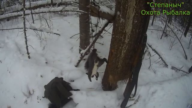 6 заезд 2 день Большой круг Белковье Тепло (1 часть) 11 11 21 смотреть онлайн