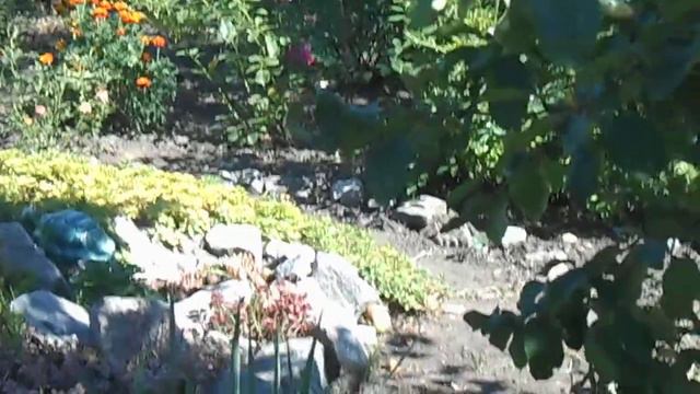 Моя первая съёмка нашей дачи) смотреть онлайн