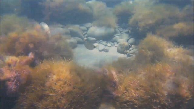 GitUp Git2 под водой, чёрное море смотреть онлайн