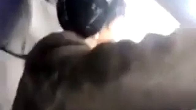 я плавно жду сцепления с двигателем смотреть онлайн