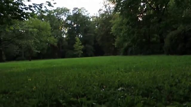 Забавные, русские белки. Funny Russian squirrels. смотреть онлайн