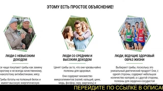 Грибница купить смотреть онлайн
