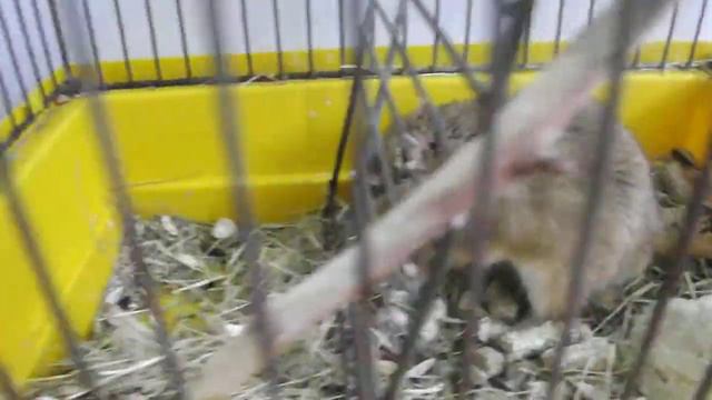 Это не мое! Мне подкинули! смотреть онлайн