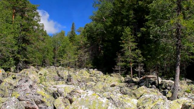 Национальный парк "Таганай" (видео о парке) смотреть онлайн