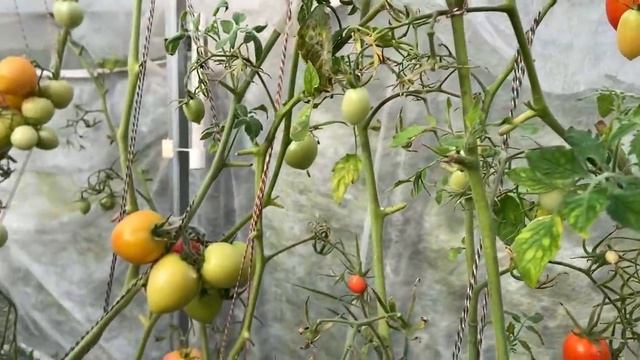 Подготовка дачи к зиме I Готовимся к холодам смотреть онлайн