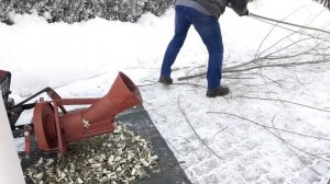 Садовый Шнековый ? измельчитель веток! Работа после модернизации!