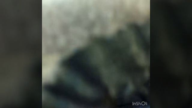 18 августа 2018 г. смотреть онлайн