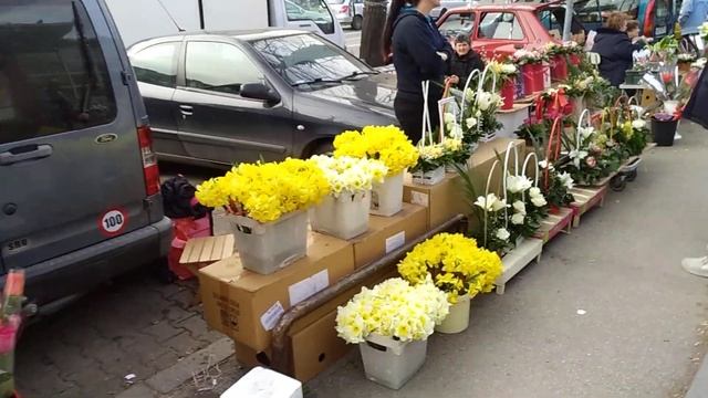 РЫНОК ЦВЕТОВ СЕРБИЯ 8 МАРТА// Цветочный рай