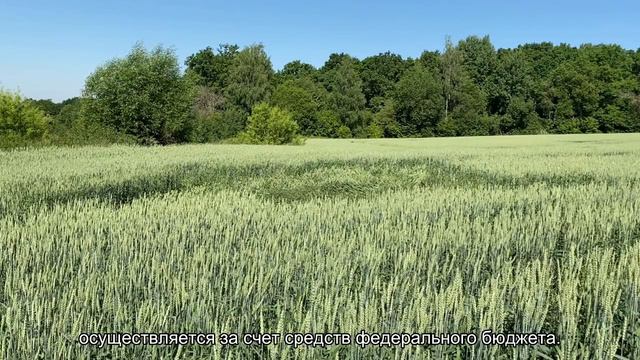 Правительство добавит 900 млн рублей на выплаты родителям третьих и последующих детей смотреть онлайн