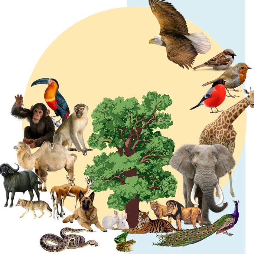 Три вида животных недавно открытых учёнымиЮ смотреть онлайн