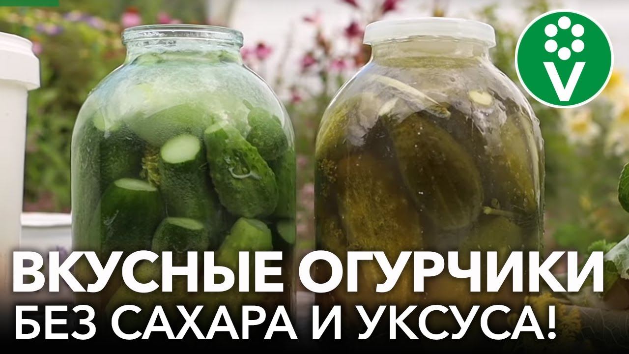 ОГУРЦЫ ТАКИЕ ЖЕ ВКУСНЫЕ, КАК У БАБУШКИ! Рецепт соленых огурцов как из бочки: хрустящие и ароматные смотреть онлайн