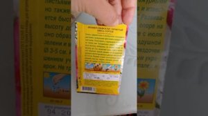 Рассада ипомеи Квамоклит перистой. Львиный зев торопыги и просто рассада огурца.