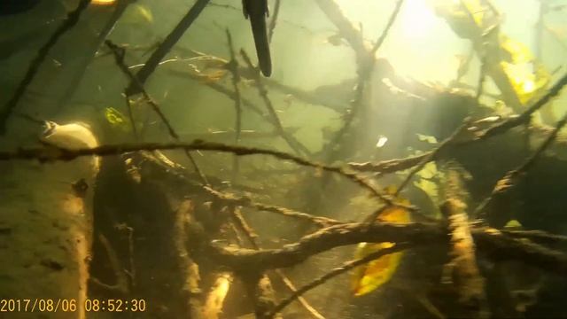 подводная охота река Пьяна 2017 смотреть онлайн