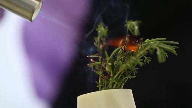промо кухня смотреть онлайн
